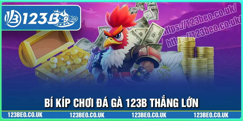Bí kíp cá cược đá gà bách chiến bách thắng tại 123b